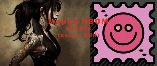 мдпв Алексин