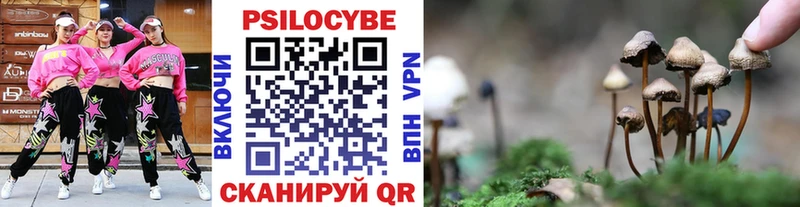 Псилоцибиновые грибы прущие грибы  Каневская 